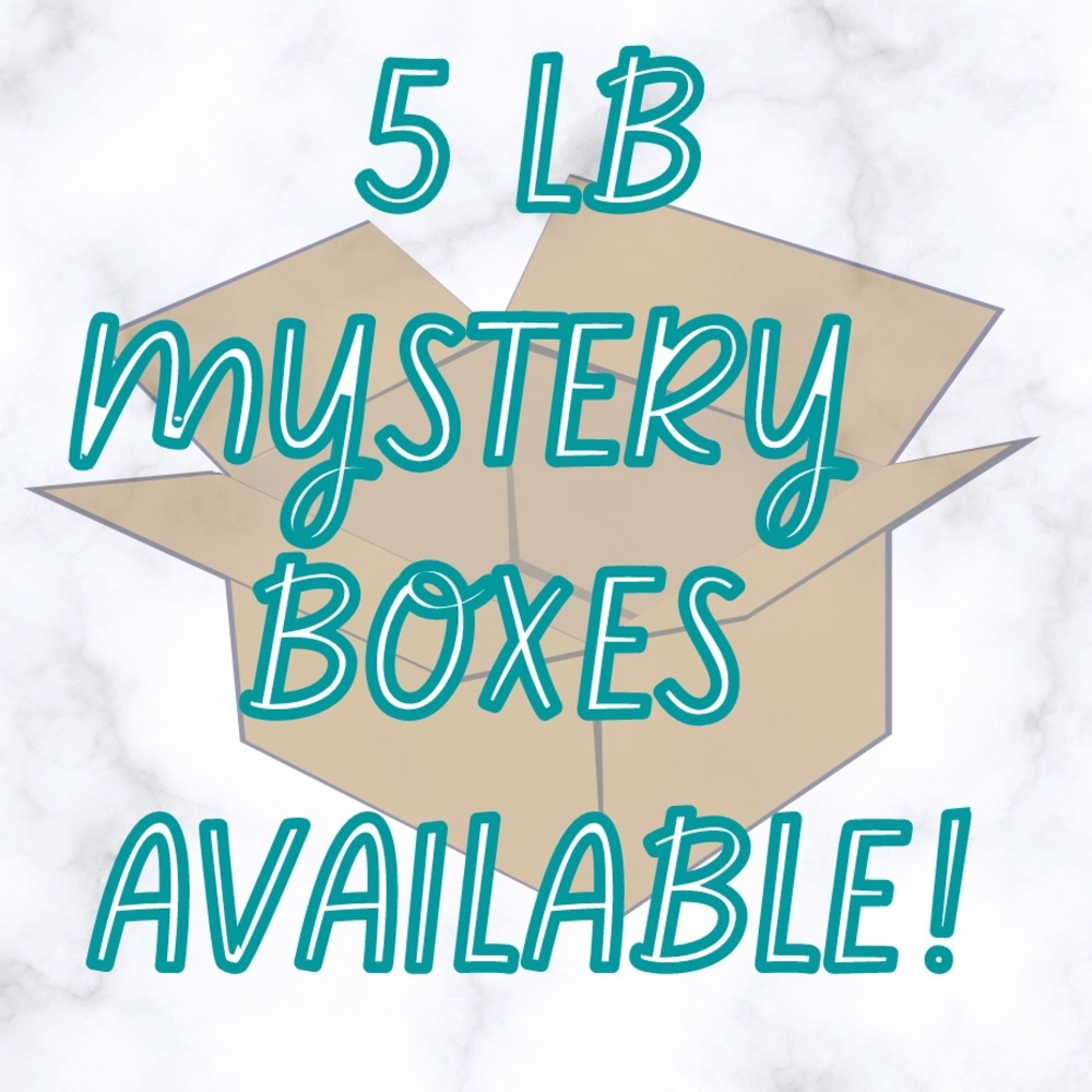 Top Rated *5 STAR ⭐️* 5 lb Mystery Boxes Available!